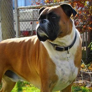 Meet your Posher, Jan